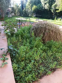 Villa Aresco - Image 3