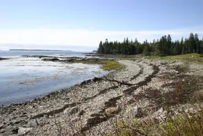Ruhiges Ferienhaus am Meer in der Wohoa Bay - Image 5