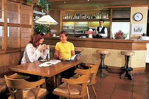 Alpina Mountain Resort - Image 4