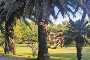 Lägenhet i Moriani-Plage med terrass - Image 2