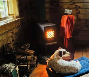 Hakuna Matata på en privat ø Log Cabin i en Maine søen! - Image 3