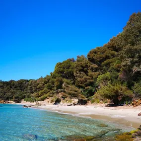 LE LAVANDOU ST CLAIR STUDIO 300 m de la PLAGE parking - Image 4