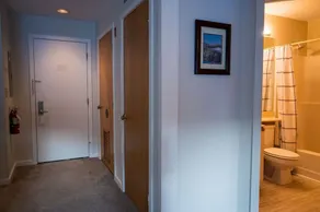 1Br Ski-in, Ski-Out at Okemo Mountain Lodge condo - Image 3