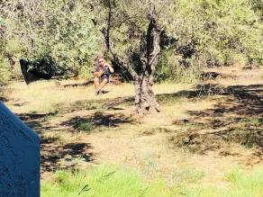 Doble estudio amueblado con cocina para la relajación - Image 3