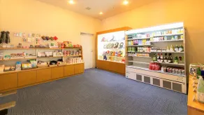 Aso Kumamoto Airport Hotel Eminence - Image 5