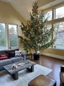 Trinity River Estate - Image 5