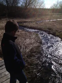 To Creeks Farm i Green Lake - Image 2