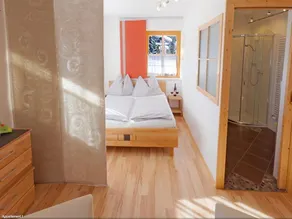 Apartment 1/apartment, shower, WC, 1 bedroom - Appartements Hochegg - Image 4