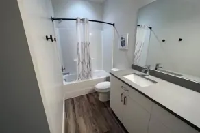 Aspen Heart Suite - Castle Rock Condos - Image 4