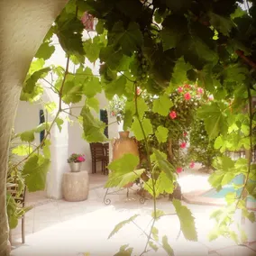 hotel arisha - Image 5