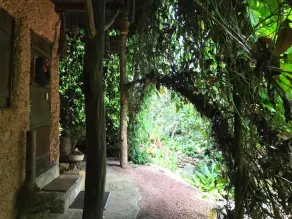Eco friendly private villa (Earth House Sri Lanka) - Image 4