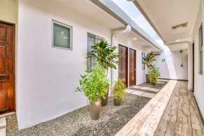 New Amazing 1bd/1ba Apt Walking distance to Ocean - Image 5