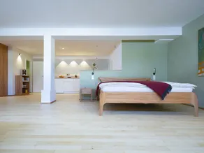 Modern apartment with large living room/bedroom, 70 m² - Image 4
