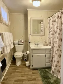 MASSIVE THREE BEDROOM HOME IN SELMA - Image 3