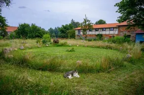 Country vacation - Sauna - Wellness vacation apartment Frida von D. - Image 4