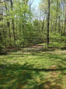 RV spot #4 at Watts Bar Lake - Image 5