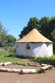 Glamping in nature at Yome Tallulah near Historic Port Hope - Image 3