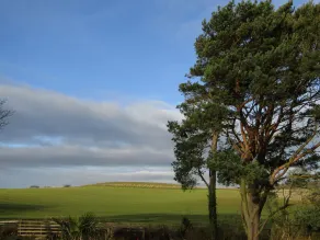 40ft x 20ft luxury holiday lodge near Scarborough; 3 bed, sleeps 6, hot tub - Image 4