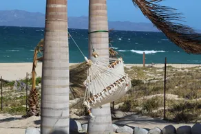Private Beach house oasis.  Walk on waterfront. Kiting paradise at your door. - Image 5