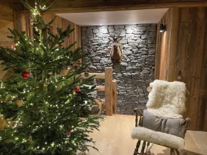 Chalet Combloux / Megève 10 personer Mont Blanc udsigt - Image 2