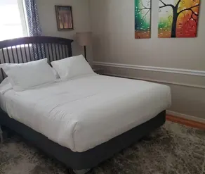 Sparks/Reno Cozy Cottage - Image 5