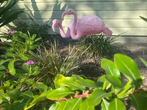 Saint Augustine Beach House - Image 5