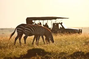 Elewana Elephant Pepper Camp - Image 5