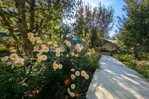 Apple Orchard Farm and Camping - Image 4