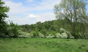 Wonderful Picturesque Countryside Cottage - Image 1