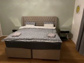 2 Bedroom apartment in upscale Zurich area - Image 5