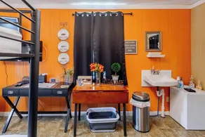 ★ Tinyhouse - Fishhouse auf unserem 2 Hektar großen Catfish Pond Sleeps 3 - Genießen Sie Farmglamping - Image 4