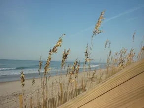 Antwort auf Gebet- Beachfront - Beautiful. WIFI, Strandzubehör, Haustiere erlaubt. - Image 5