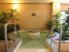 Arima Onsen Maple Arima - Image 4