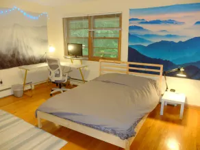 fast wifi, perfect remote worker home, 6 acres of secluded nature - Image 4