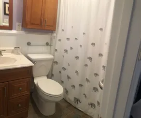 Cute & Cozy 3BR 2BA Waterfront Lake Gaston - Great Creek Bracey, Va - Image 4