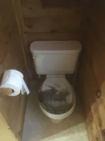 \"Dam Right\" Off-Grid / Solar powered Log Cabin with DIRECT Trail Access - Image 3