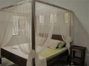 Casa Tranquila - Relax in our beachfront home - Image 5