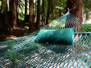 Forest Cottage in Big Sur w/Private Hiking & Hot Tub - Image 5