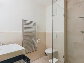 Holiday home with 3 modern flats opposite ski lift - Image 3