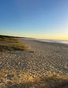 Bordering onto reserve, spectacular 500m stroll to the beach - Image 4