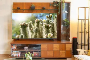 Donny's Den - Image 2