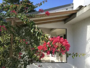 Garden Apartment, One Mile From The North Coast Beach - Image 4