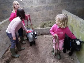 \"Vidunderligt beliggende i hjertet af Exmoor\" - Image 2