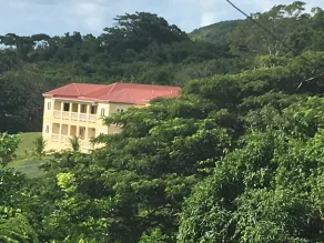 Nouvelle liste!Paradise Verdant. Relaxing Vacation In The Lush Tropical Rain Forest - Image 5