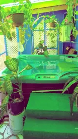 APARTAMENTO, JAZCUZZI HOT TUB, GINÁSIA SALA DE JANTAR E VARANDA NO QUARTO - Image 3
