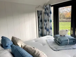 Boutique Shepherds Hut set in a wildflower meadow on a farm with Highland Cows - Image 5
