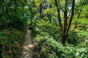 Forest Studio Oasis - Mile from Multnomah Village - Image 5