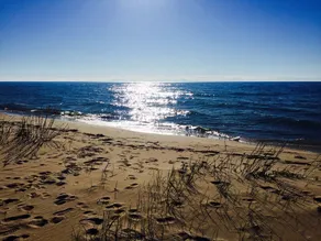 Good Hart Beach Cottage on 100' of Private Beach on Lake Michigan - Image 4