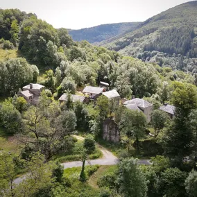 The Maquis Caravans 🌲🦌🌳 - Image 5