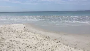 Cottage @Callala Beach - Pet friendly / Trampoline / Cubby house / Free wi-fi - Image 3